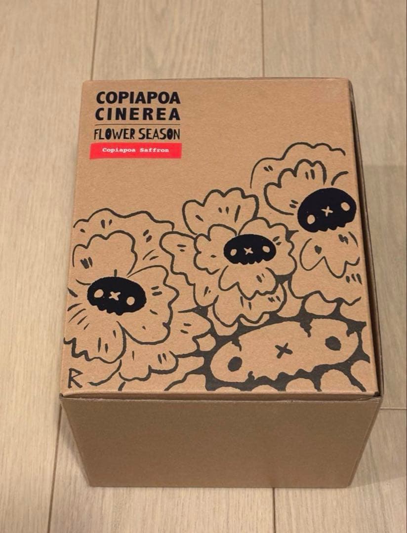 その他 COPIAPOA CINEREA FLOWER SEASON