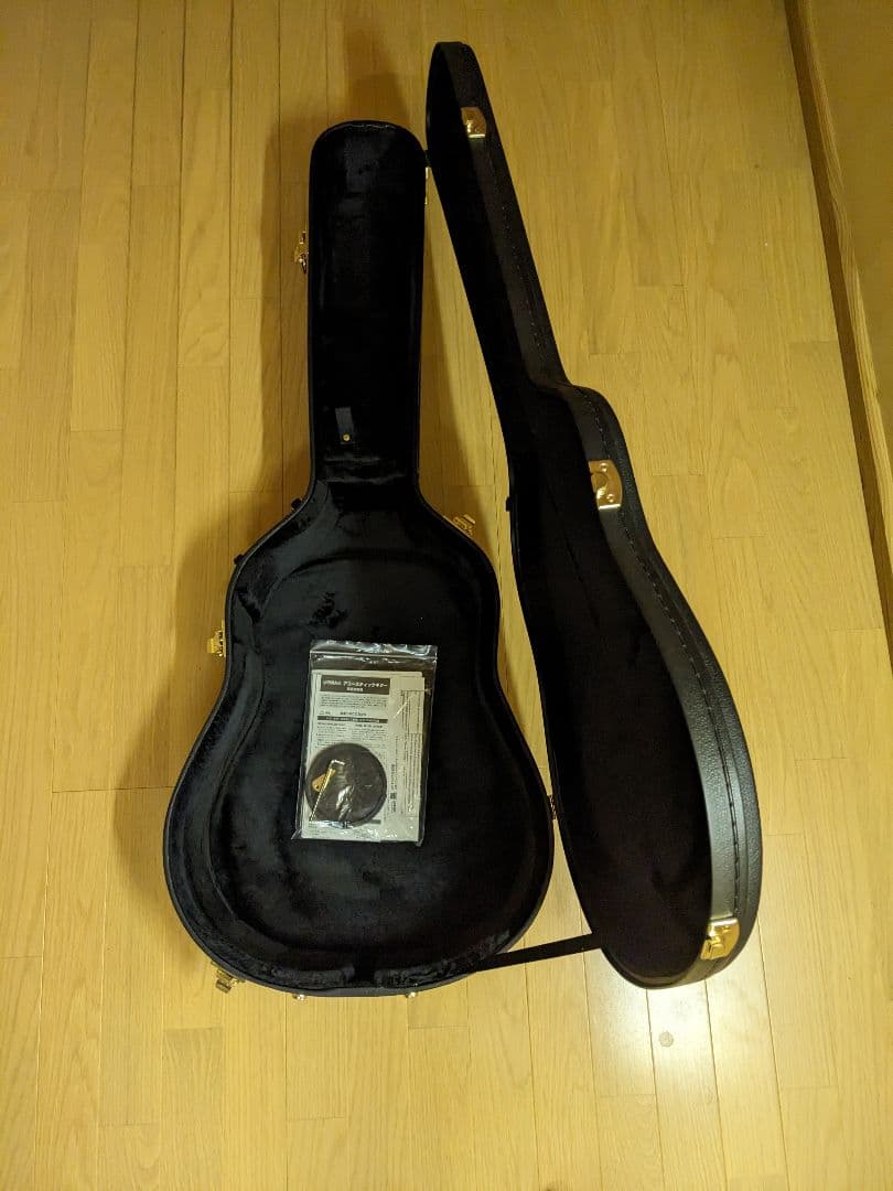 YAMAHA　FGX5