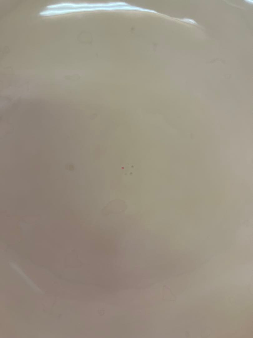M145 乾漆食籠 1点物!! 赤黒 木箱付 漆器 工芸品