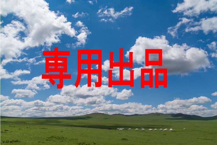 専用出品★天然純粋はちみつ100%菩提樹の蜂蜜16本
