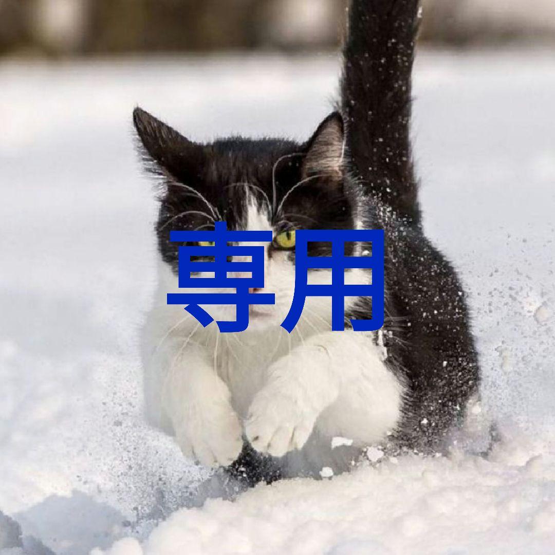 アクイース