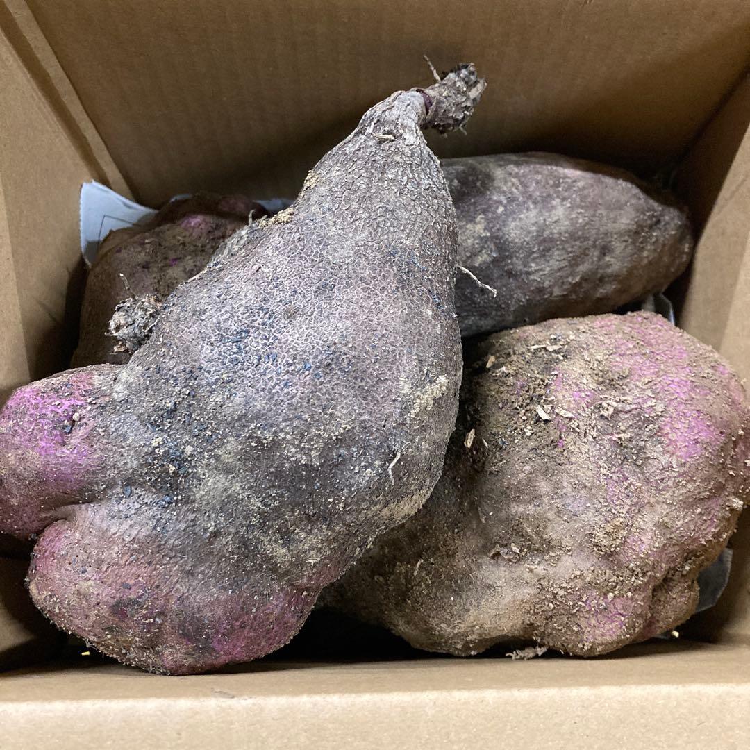 タニ和歌山県産紫つくね芋20kg