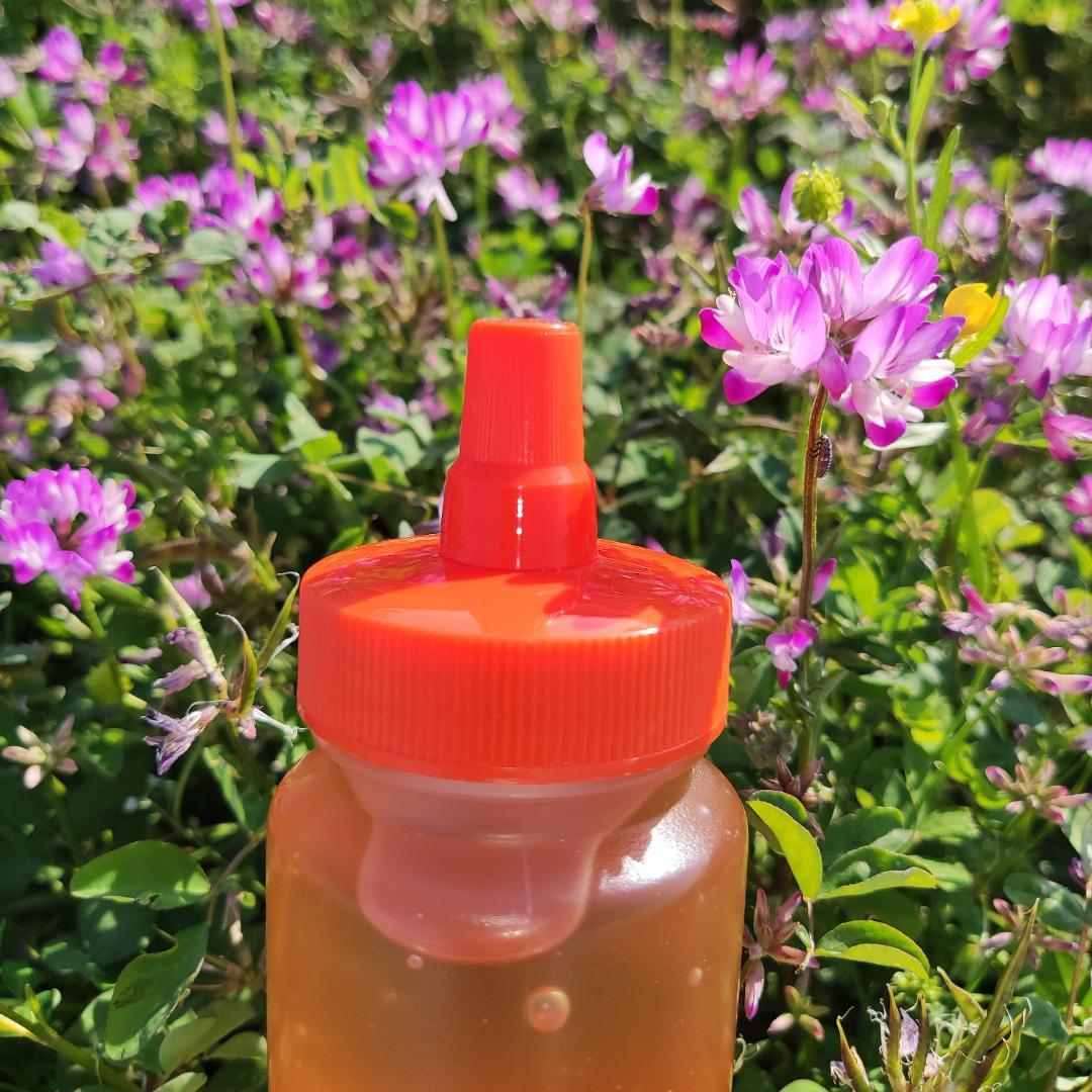 ✡️アカシア蜜５本&れんげ蜜５本　生はちみつ　自家製蜂蜜