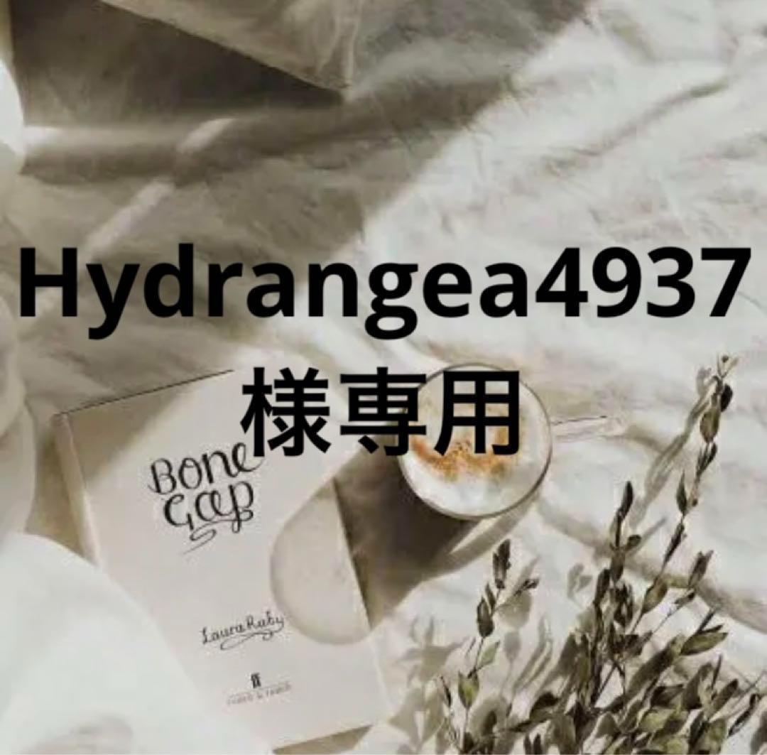 Hydrangea4936　0705