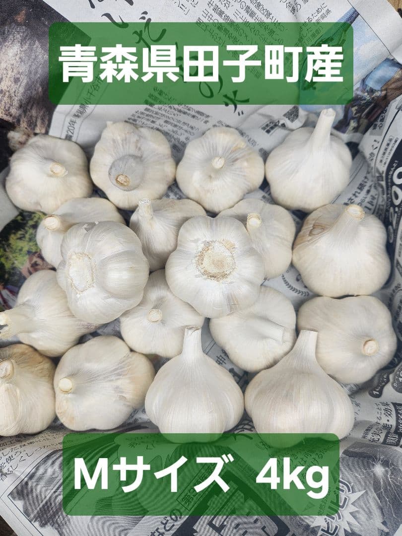 青森県田子町産 Mサイズ にんにく 4kg