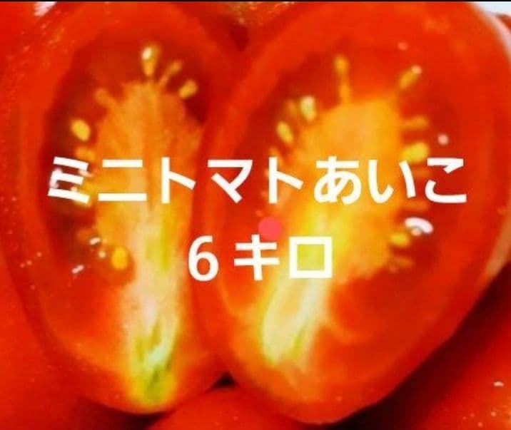 ミニトマト あいこ ６キロ