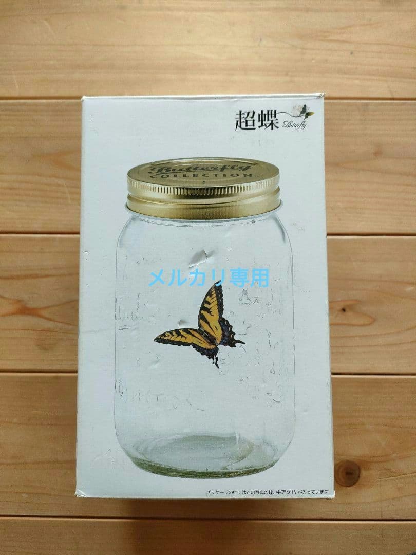 テンヨー【 超 蝶 】キアゲハ　新品未開封 希少品　不思議なインテリア