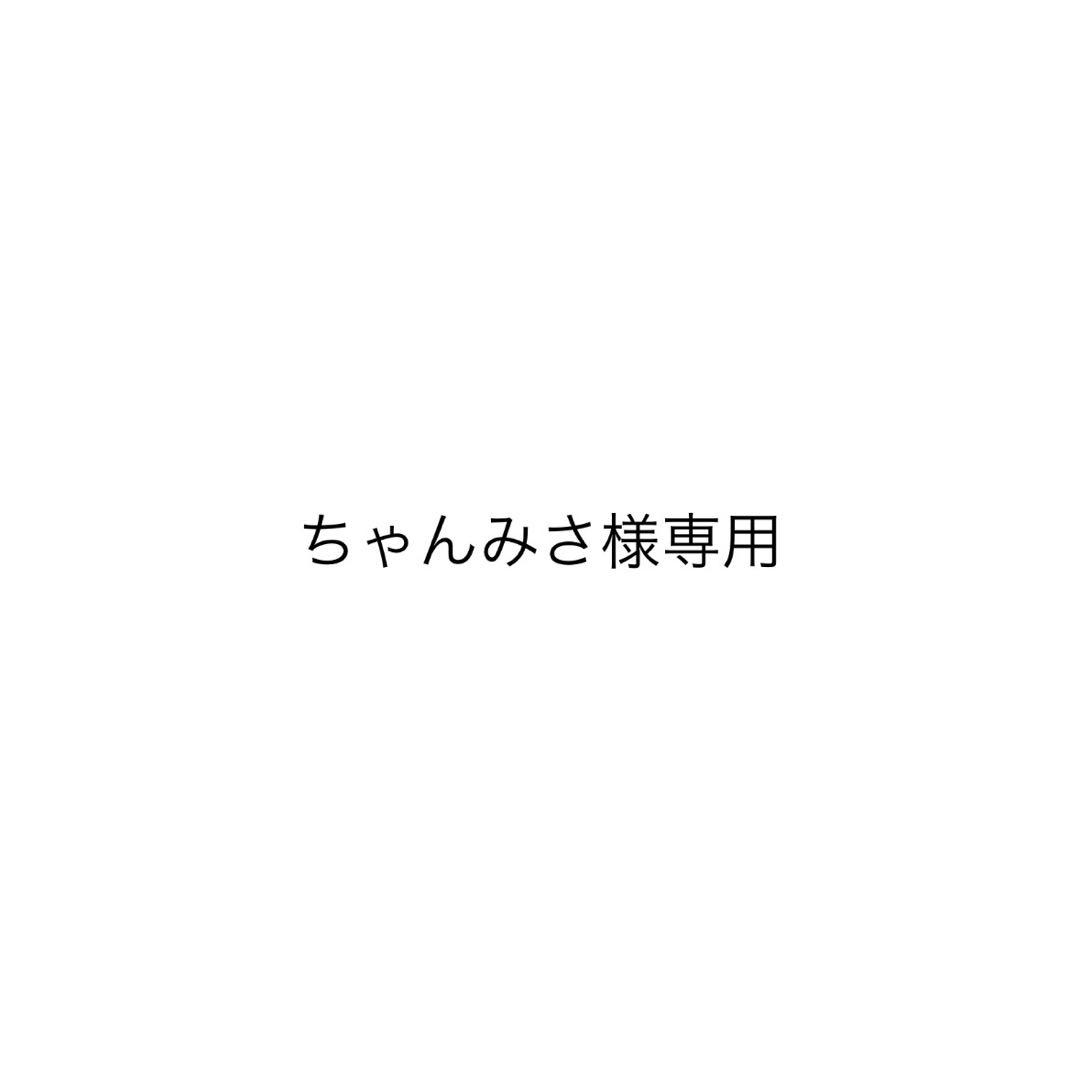 ちゃんみさ