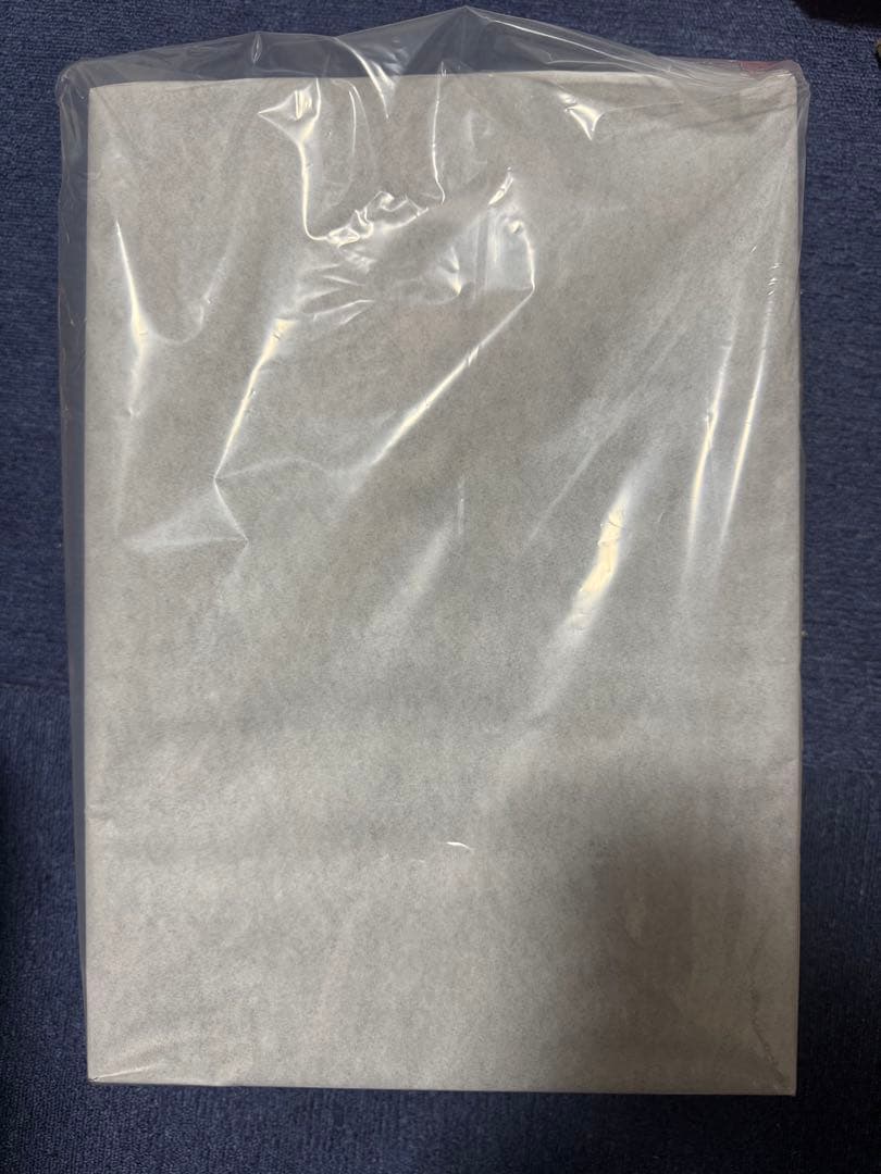 ベルセルク ガッツ ロスト・チルドレンの章 黒い剣士 スタチュー リニューアル版