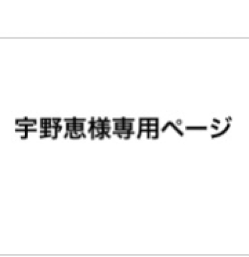 宇野恵ページ