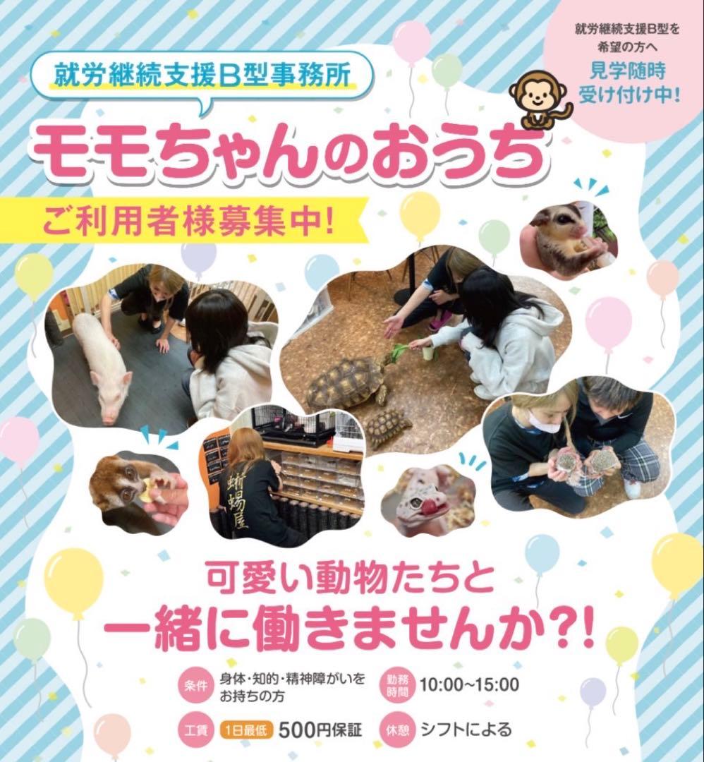 ニコニコ
