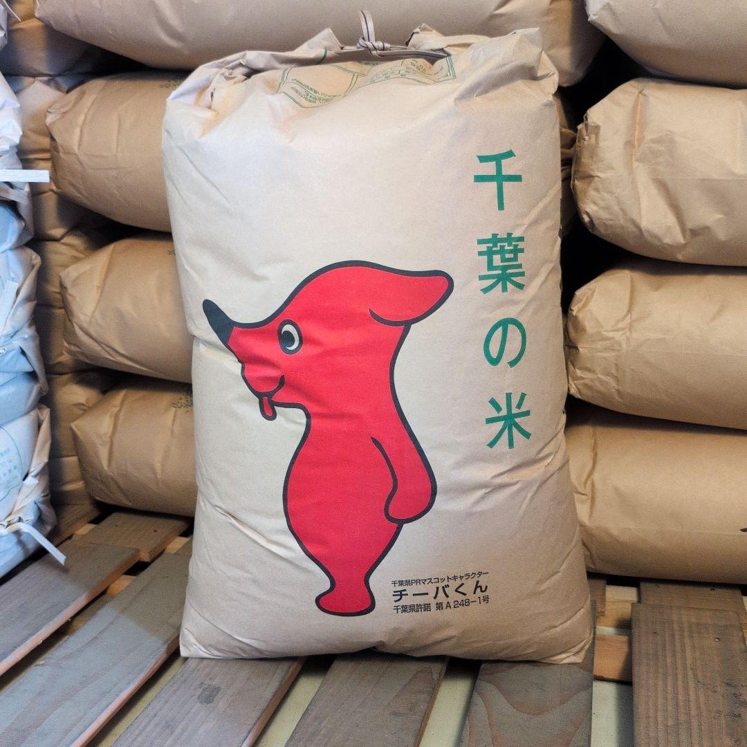 令和7年度 新米 千葉県産 コシヒカリ 玄米 20キロ ※ご希望の方は無料精米
