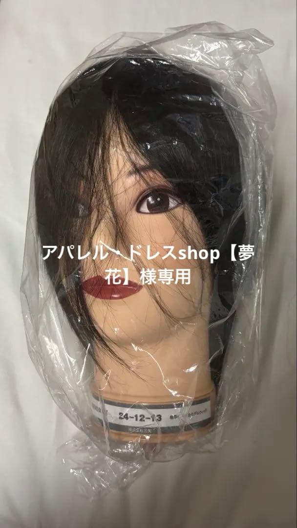 専用4体