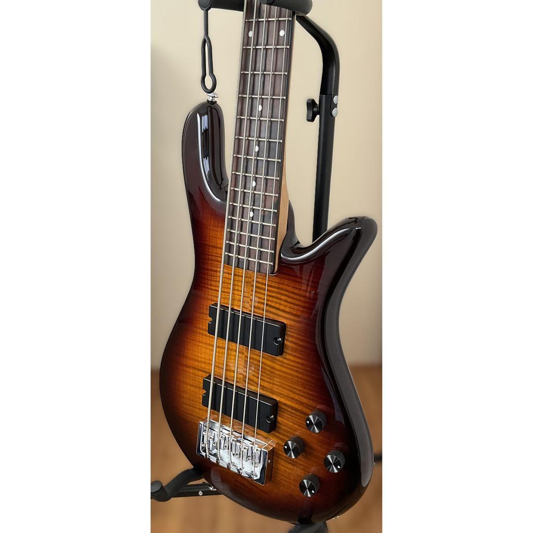 【送料込最終】Spector 5弦ベース【ストラップおまけ】