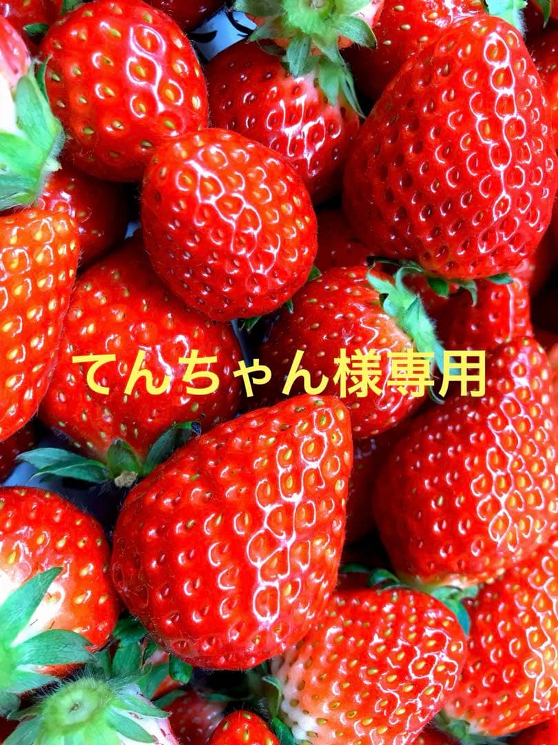 てんちゃん