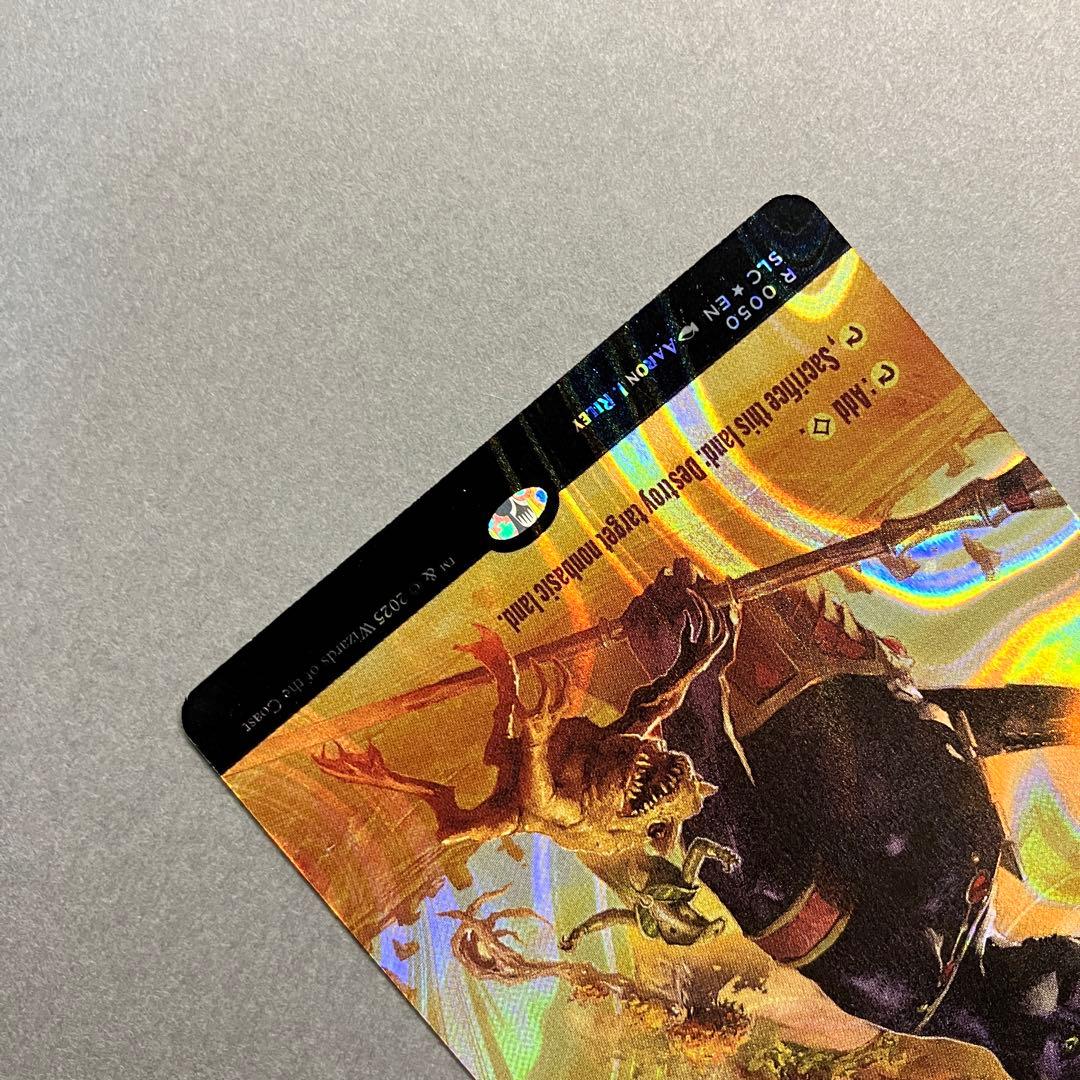 MTG 不毛の大地 英語 ボーダーレス ハロー Foil