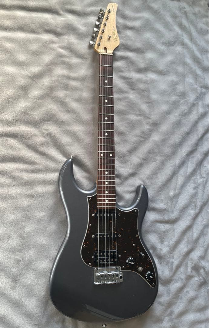 ギター FGN