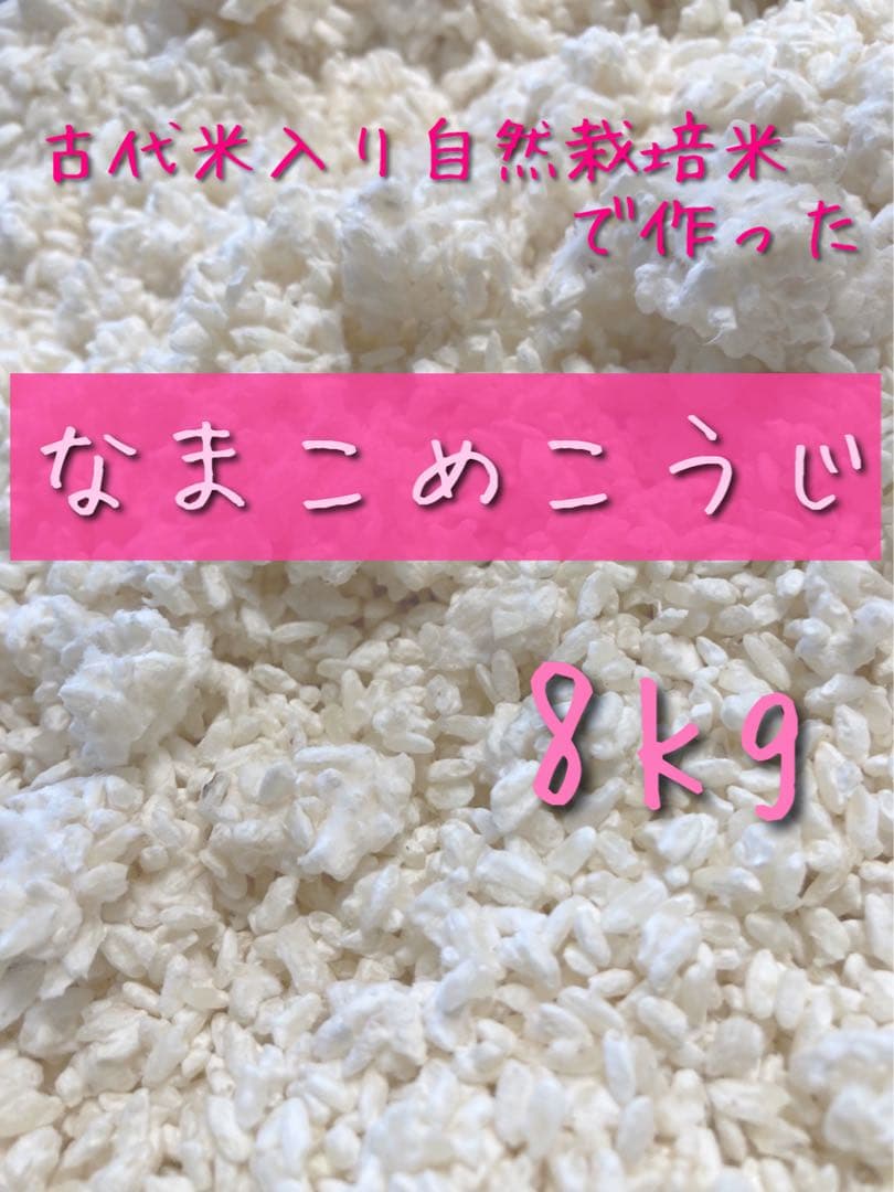 【 みいさま専用 】 こめこうじ 8kg