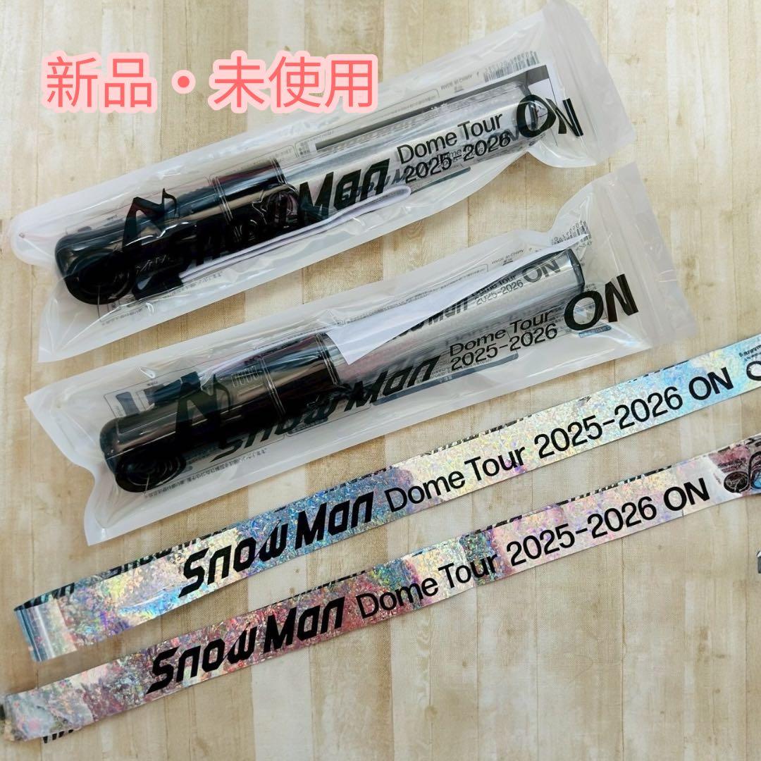 Man Dome Tour 2025-2026ON ペンライト2本セット