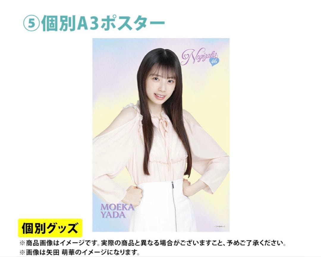 乃木坂46 2026年福袋A B C 19点　中西アルノ