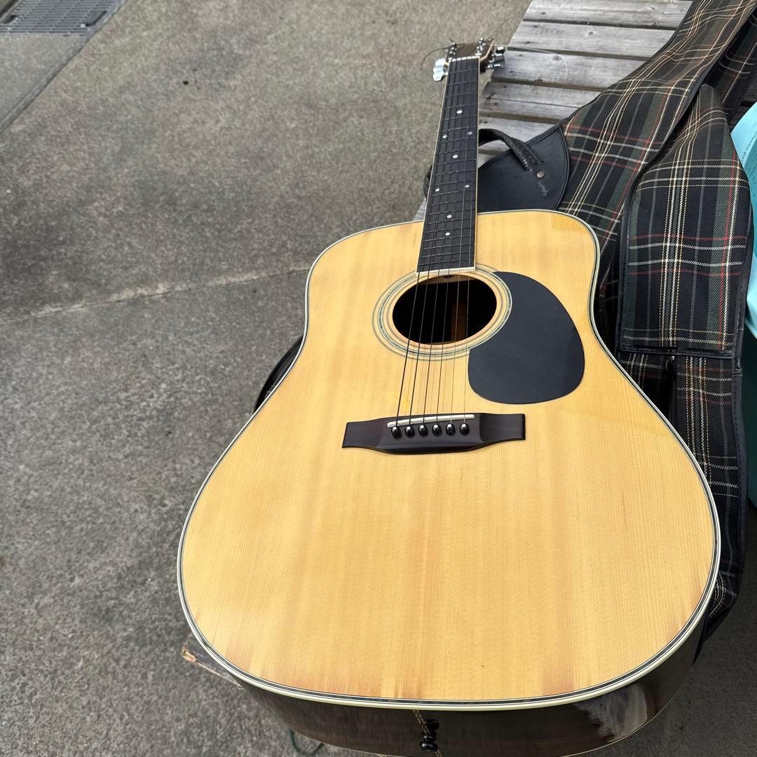 Morris モーリス W-25 アコースティックギター