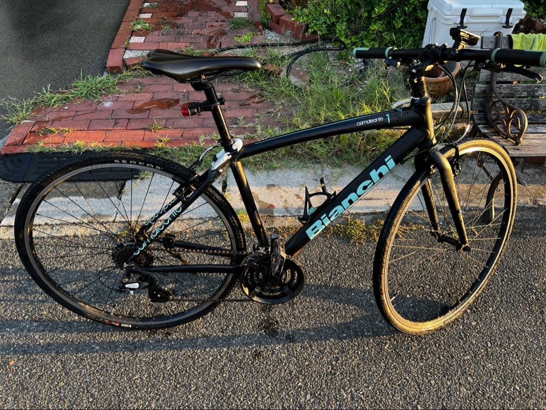 Bianchi （ビアンキ） CAMALEONTE1