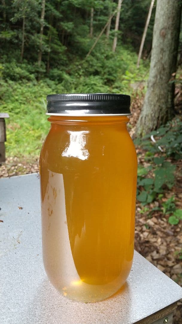 【養蜂家直送】 はちみつ 3kg 国産 天然 純粋 生蜂蜜 7月新蜜 夏の百花蜜