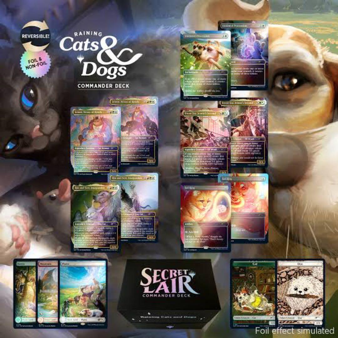マジック：ザ・ギャザリング MTG Secret Lair : Raining Cats & Dog