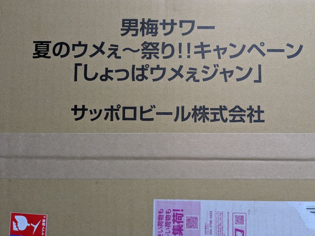 しょっぱウメェジャン 赤白ジャケット
