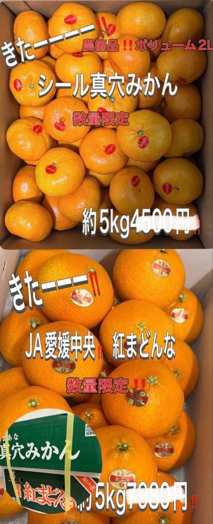 激安きたーー‼️最強コラボ‼️紅まどんな約5k真穴みかん約5kセット8888円6