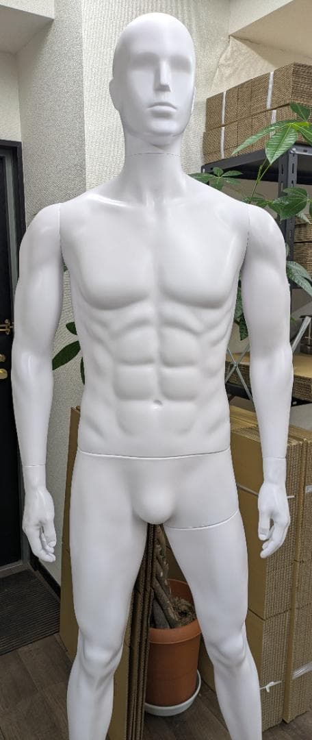 全身 マネキン メンズ マッチョタイプ ABS製185cm 男性 立ちポーズ