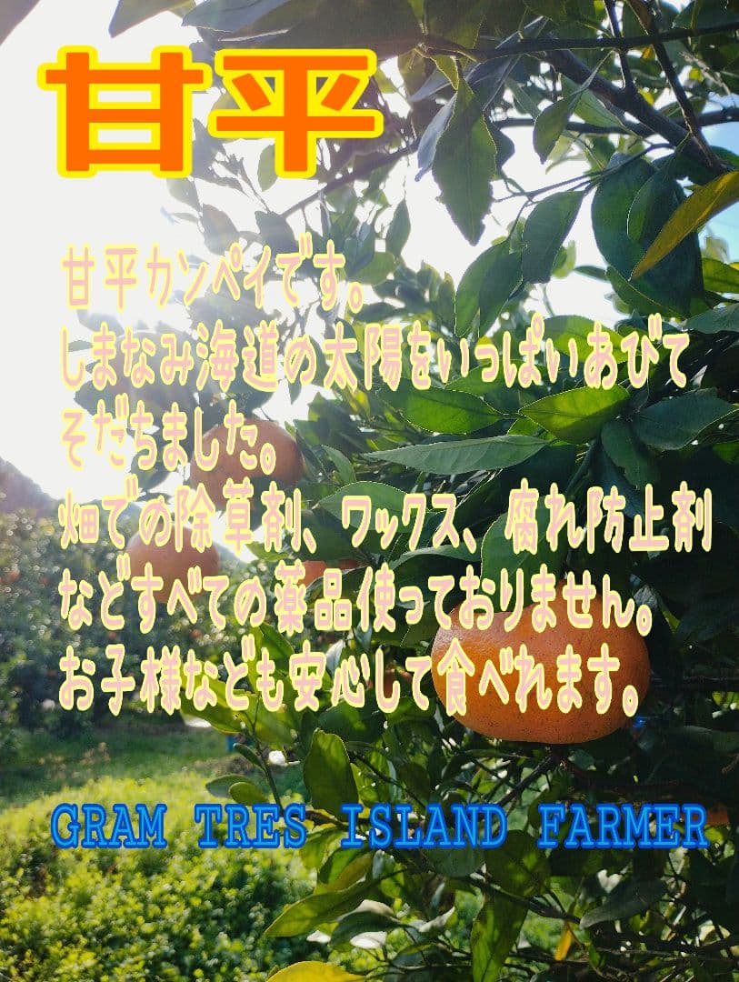 甘平　5kg箱