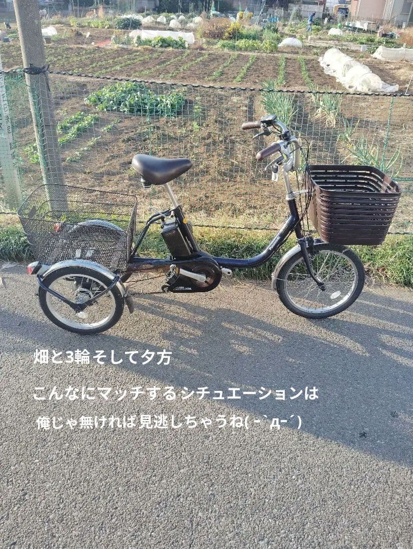 Panasonic　viviライフ