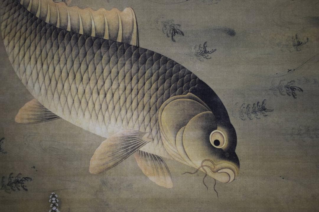 複製/繆輔/魚藻図/鯉/川魚/鮒画賛/工芸/布袋屋掛軸HJ-995