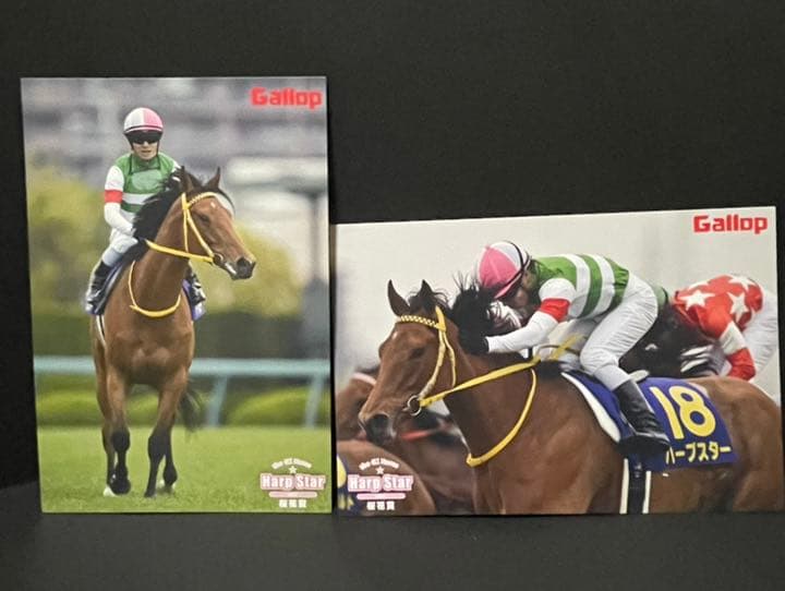 ポストカード　競馬
