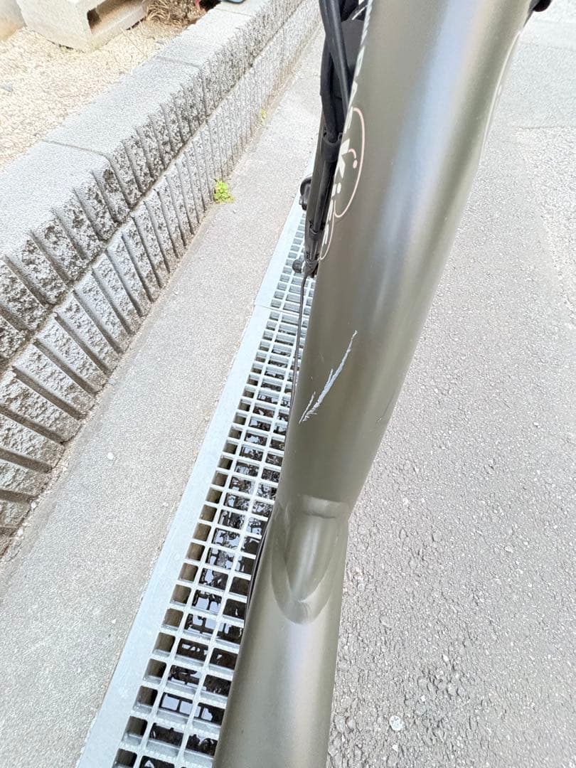 電動アシスト自転車