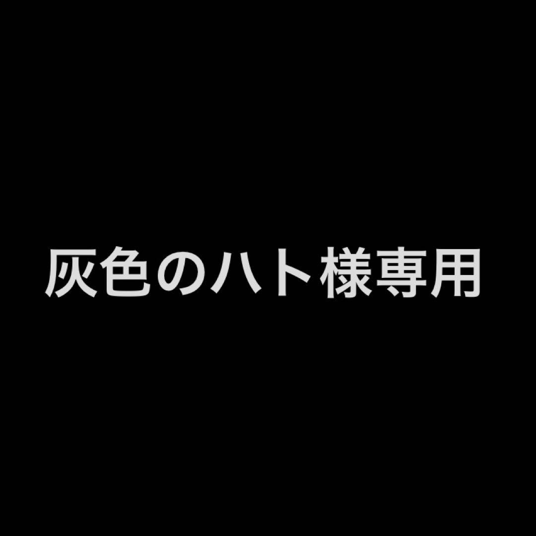 灰色のハト