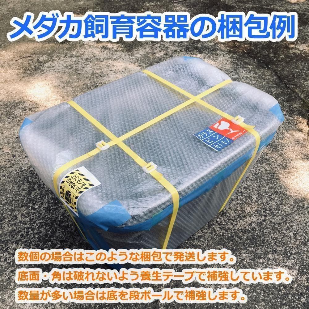 メダカ飼育ケース 120㍑x2個 黒・濃緑あり オーバーフロー 金魚飼育容器