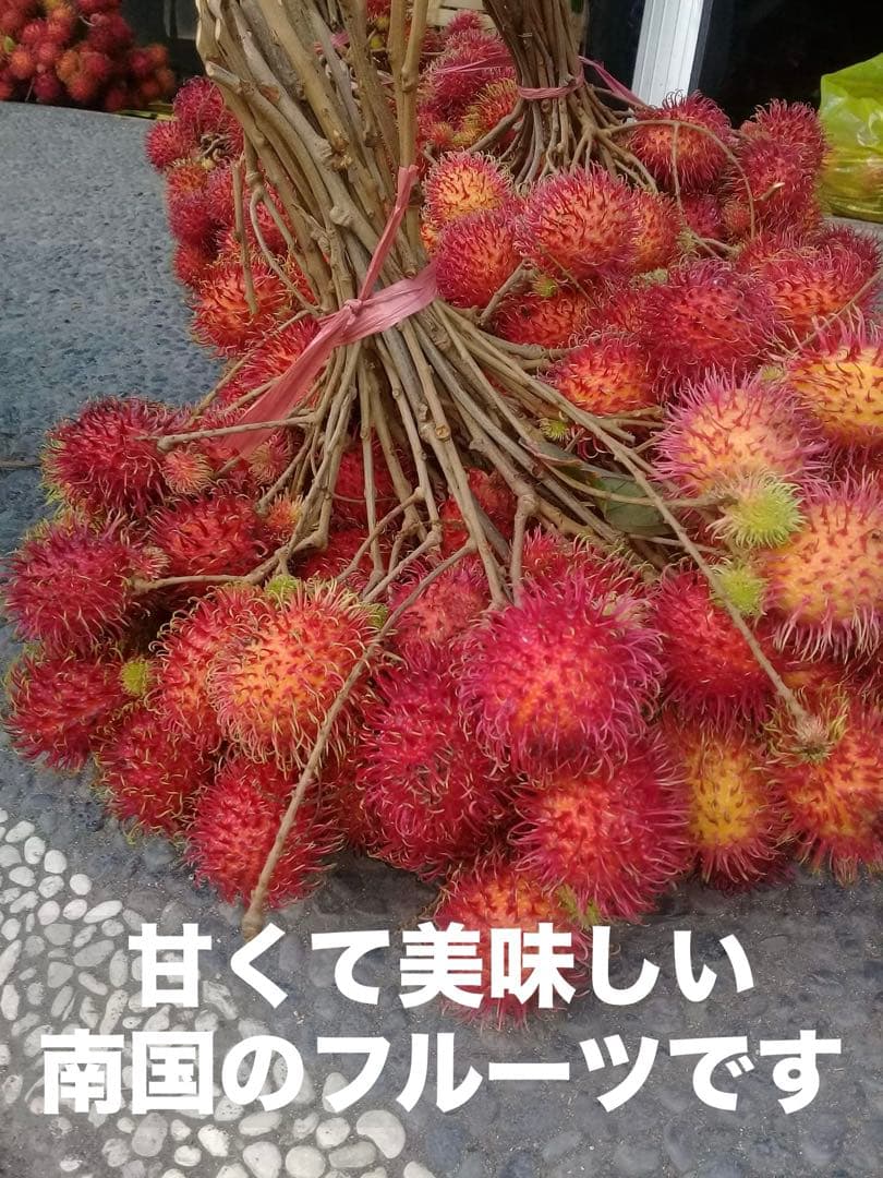 蜂蜜(ランブータンの花)710g【⭐️SALE❣️】塩、ココナッツシュガー、黒胡椒