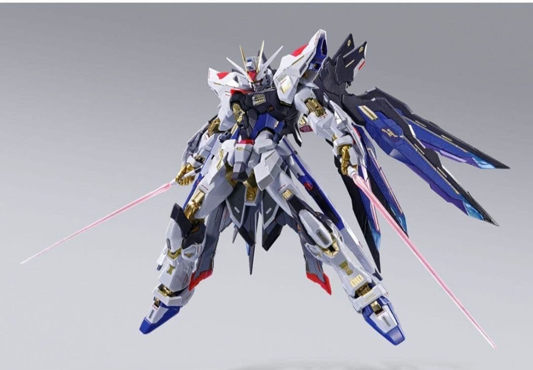 【新品未開封】メタルビルド ストライクフリーダムガンダム 2024