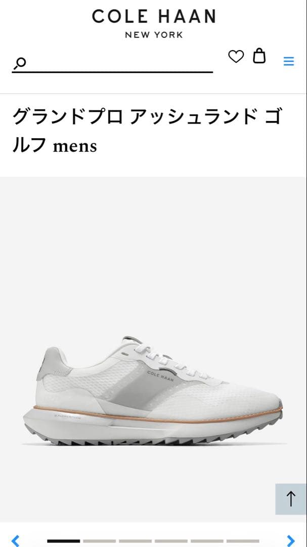 コールハーン グランドプロ アッシュランド ゴルフ メンズ ゴルフシューズ
