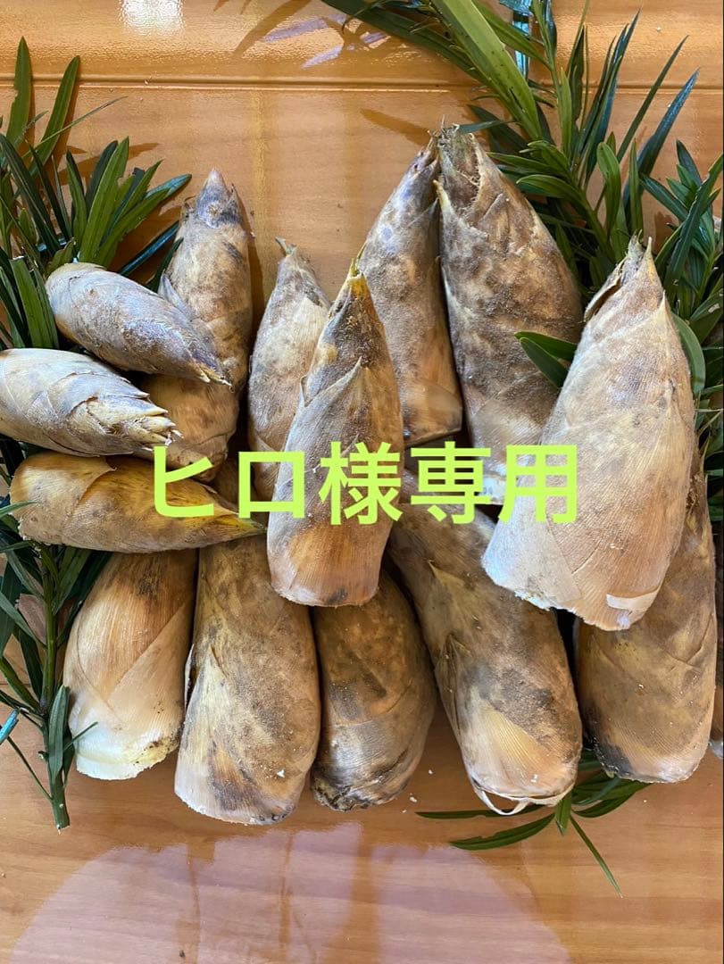 伊勢志摩たけのこ　掘りたてヒロ