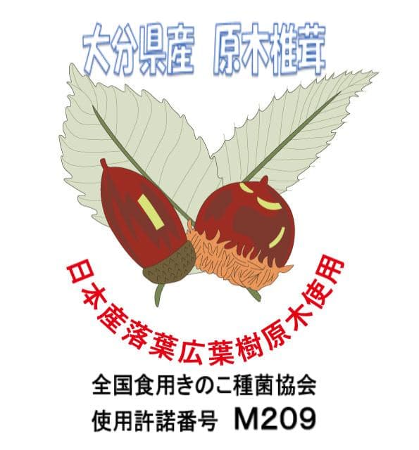 SYさまご予約専用 大分県特産 生どんこ椎茸「秋子」ダブル