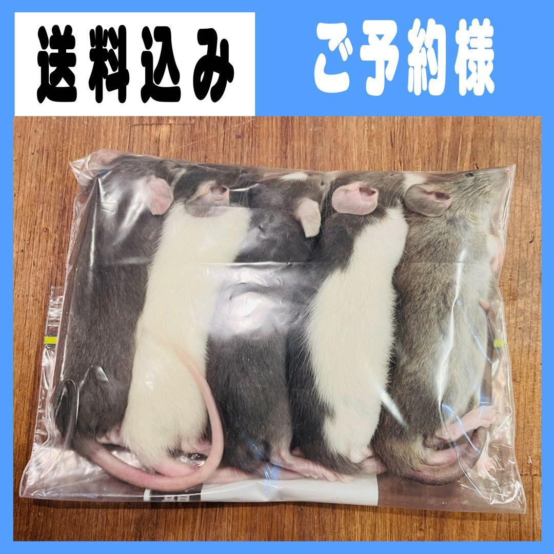 HIROフォーム