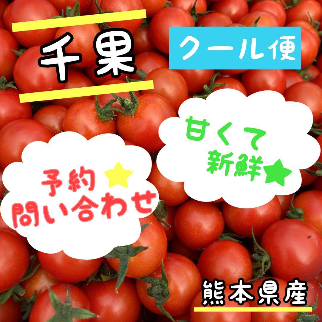 【ご予約・問い合わせ】熊本県産　ミニトマト　千果