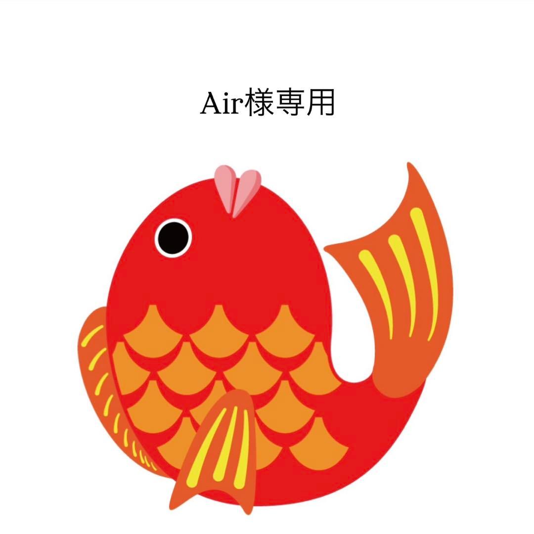 Air タイラバ タングステン 目あり無垢