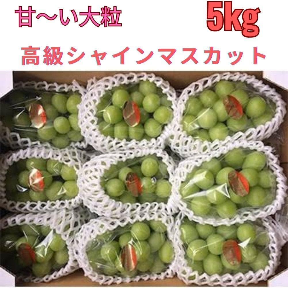 【岡山県産】 甘～い！高級大粒シャインマスカット 7〜8房　5kg