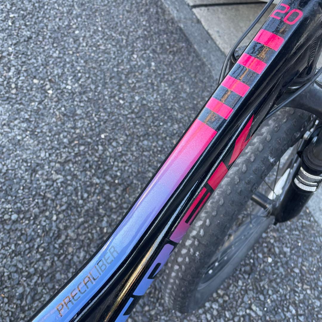 テサーヌ　20インチ Precaliber 身長114-132cmブラック