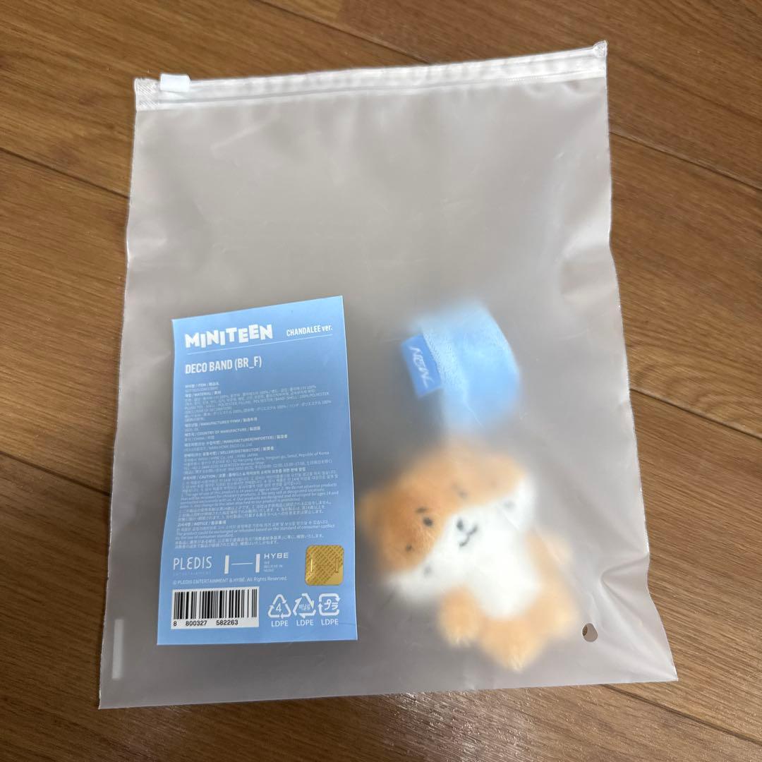 SEVENTEEN MINITEEN デコバンド　ディノ