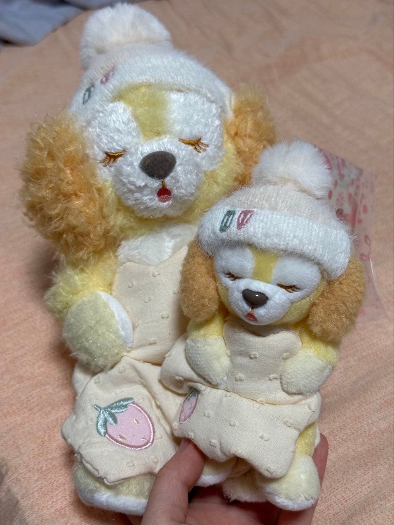 上海ディズニー　ふわふわ夢　クッキーアン　ぬいぐるみキーチェーンとSSぬいぐるみ